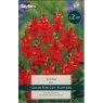 TAYLORS Ixia Red