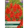 TAYLORS Ixia Red