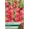 TAYLORS Gladioli Rusty Chestnut