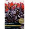 TAYLORS Canna Tropicanna Black - Special Edition