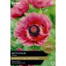 TAYLORS Papaver Pattys Plum - Special Edition
