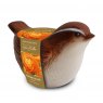 TAYLORS Novelty Wren Bird Planter
