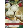 TAYLORS French Garlic Arno