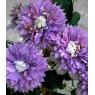 Clematis 'Diamantina' (Evipo039)   3L BLUE