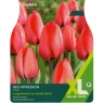 XL377-Red-Impression-scaled