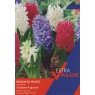 EV127-Hyacinth-Bedding-Mixed-scaled