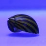 MOLLUSCS Snail Zebra