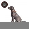 ANCOL Stormguard Dog Coat Chocolate S